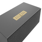 Audio Pro C20 (grau) Smarter Stereo-Lautsprecher | Multiroom | HDMI mit ARC und Bluetooth 5.0