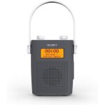 Duschradio DAB+, BT, wasserdicht, Außenradio, Majority Eversden, Grau, GEPRÜFT