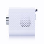 Radiowecker mit DAB+, Sleep Timer, USB- Laden, Blaupunkt CLRD 30, GEPRÜFT- GUT