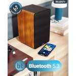 Aktiv Regallautsprecher BT, AUX,USB,HDMI,opt.,Braun,1 Paar,MAJORITY D100, GEPRÜFT