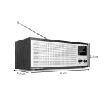 Internetradio DAB+ WLAN Bluetooth Farbdisplay, Blaupunkt Napoli IRD 400, GEPRÜFT