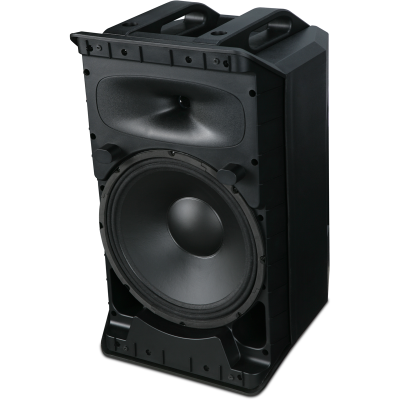 Wharfedale Pro Tourus AX‑12 MBT