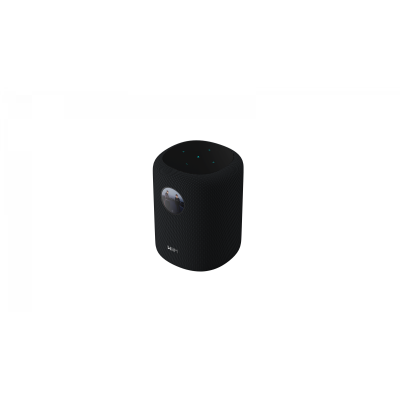 High-Res Smart Speaker mit Wi-Fi & RoomFit, 100 W, Wiim Sound, NEU