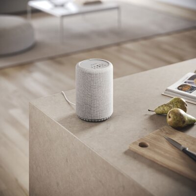 Multiroom Lautsprecher, Audio Pro A10 MkII W, Airplay2, Wireless, hellgrau, NEU