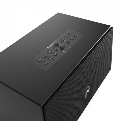 Multiroom Lautsprecher Audio Pro C5 MkII W, Schwarz, 41 W, AirPlay 2, NEU