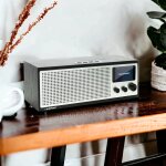 Internetradio DAB+ WLAN Bluetooth Farbdisplay, Blaupunkt Napoli IRD 400, DEFEKT "Tot"