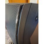 Bose 251 passive Outdoor Lautsprecher Paar Environmental 100W Schwarz BESCHÄDIGT