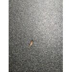 Internetradio, DAB+, CD, BT, eingebauter Subwoofer, Quadriga, schwarz, MANGEL
