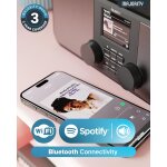 Internet- & DAB+ Radio, BT, Line-Out, Spotify, Wecker, Majority Rostock, MANGEL
